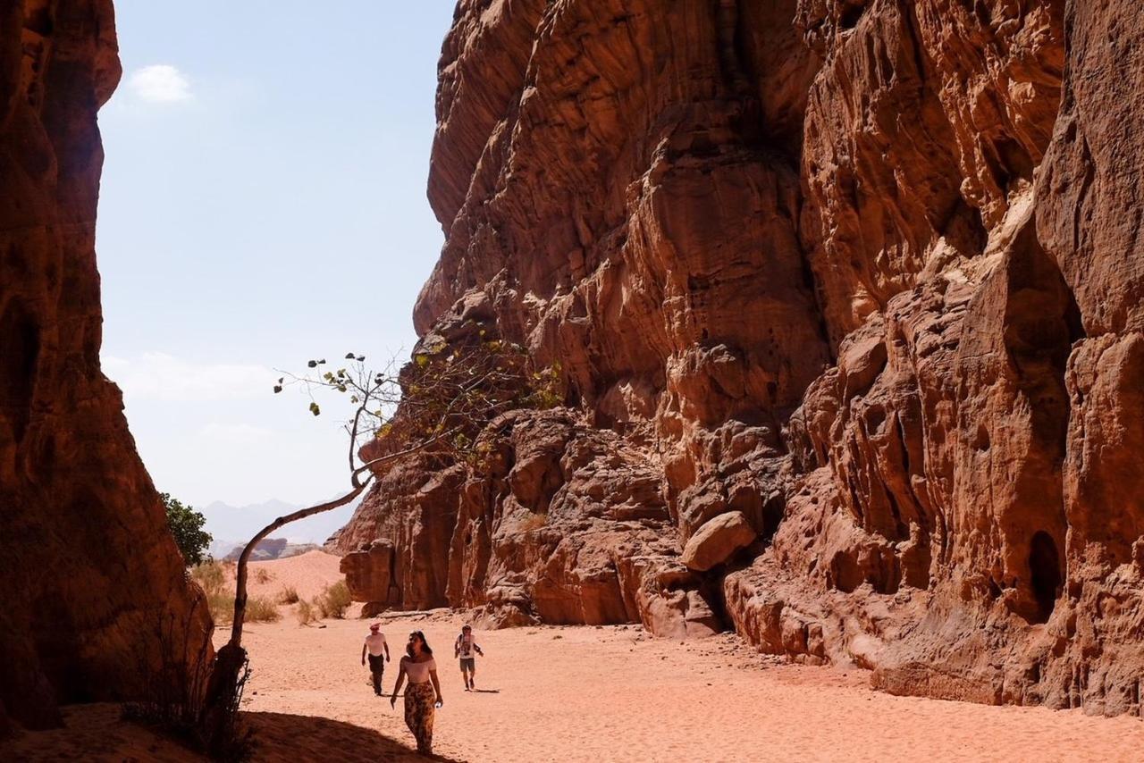 Wadi Rum Bedouin Camp And Desert Tours Экстерьер фото